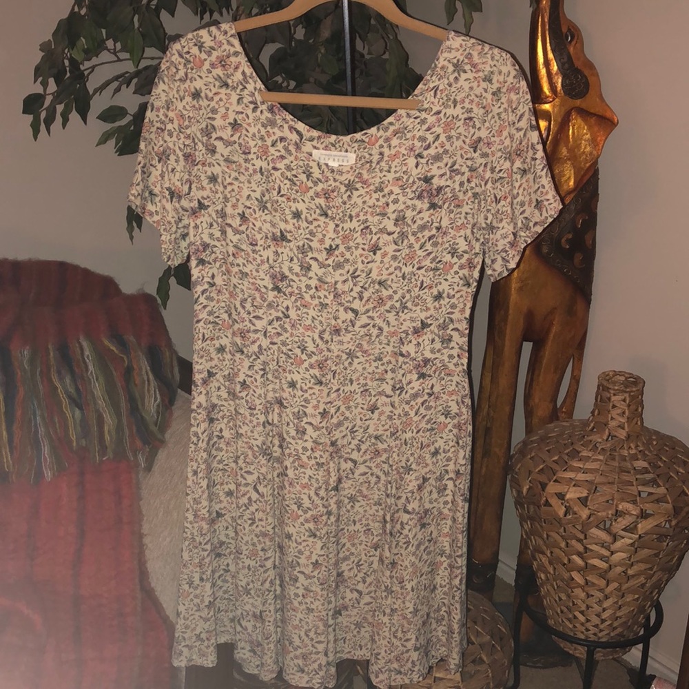 Express Floral Dress
